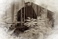 Railroad Cars on Siding in Perkasie